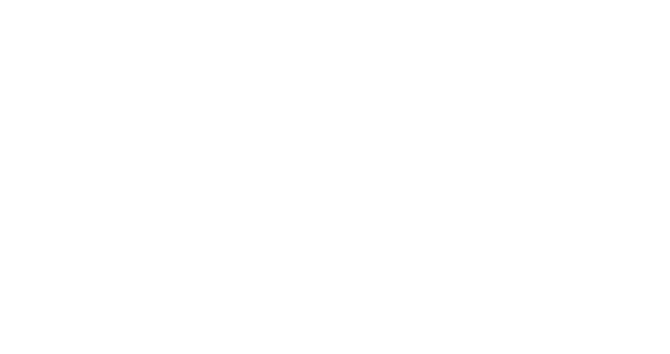 OLX Logo
