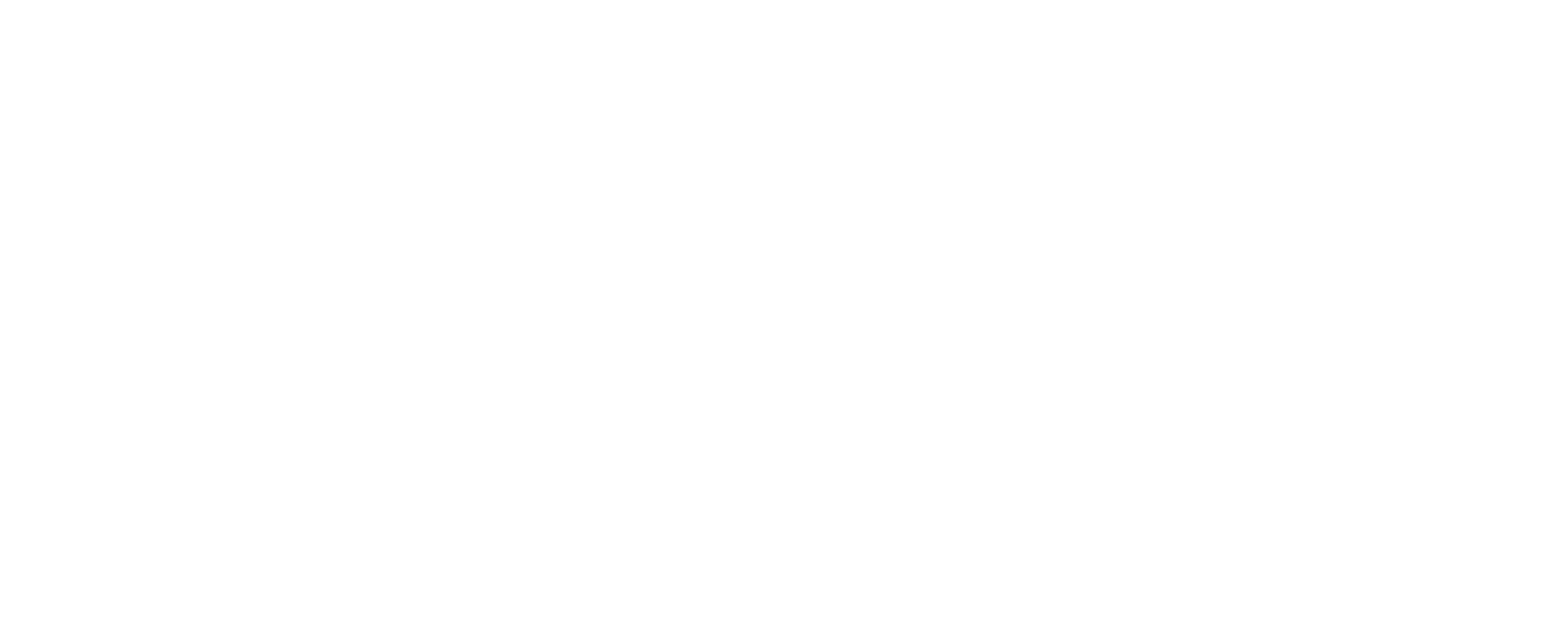 Vitacon Logo